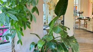 Garance L&rsquo;Atelier du Cheveu – Coiffeur Biarritz - Biarritz